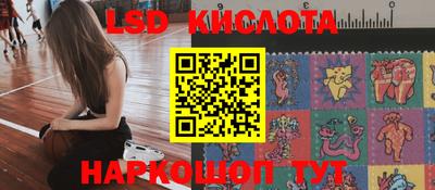 индика Сланцы