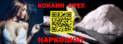 индика Сланцы