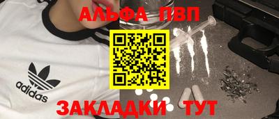 индика Сланцы