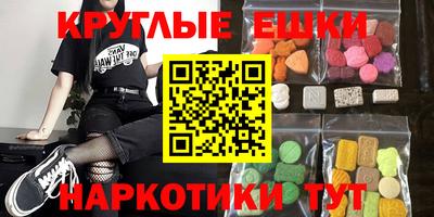 индика Сланцы