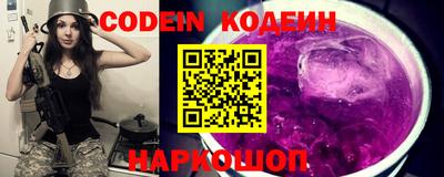 индика Сланцы