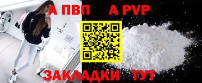 индика Сланцы