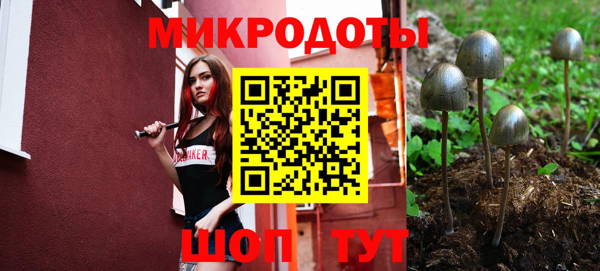 Галлюциногенные грибы MAGIC MUSHROOMS Новочебоксарск
