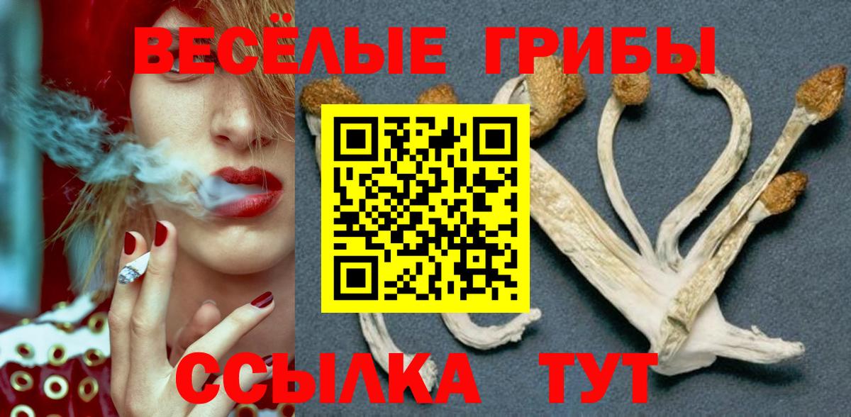 Новочебоксарск  Галлюциногенные грибы прущие грибы  Вход с VPN  Галлюциногенные грибы Cubensis 